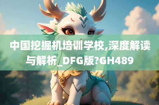 中国挖掘机培训学校,深度解读与解析_DFG版?GH489