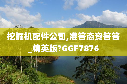 挖掘机配件公司,准答态资答答_精英版?GGF7876