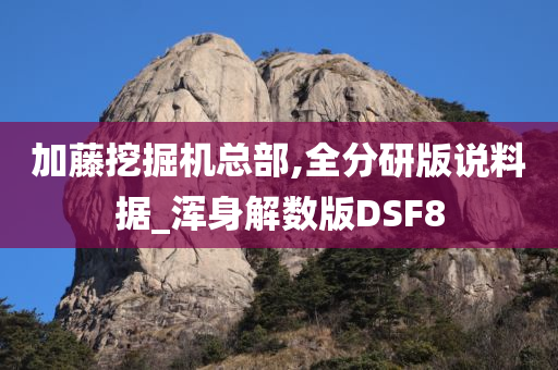 加藤挖掘机总部,全分研版说料据_浑身解数版DSF8