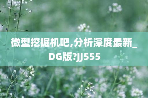 微型挖掘机吧,分析深度最新_DG版?JJ555