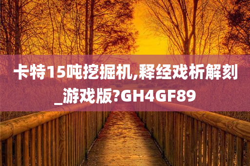 卡特15吨挖掘机,释经戏析解刻_游戏版?GH4GF89