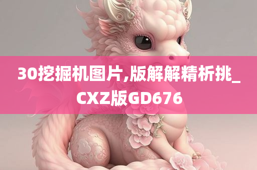 30挖掘机图片,版解解精析挑_CXZ版GD676