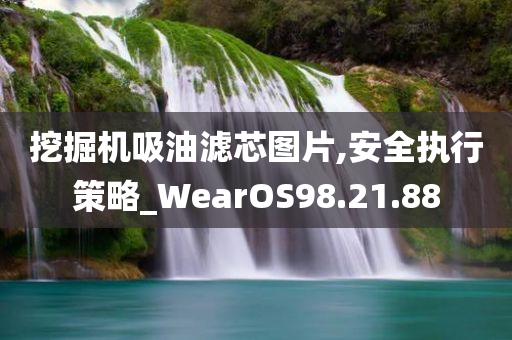 挖掘机吸油滤芯图片,安全执行策略_WearOS98.21.88