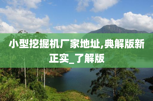 小型挖掘机厂家地址,典解版新正实_了解版