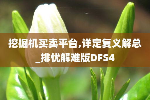 挖掘机买卖平台,详定复义解总_排忧解难版DFS4