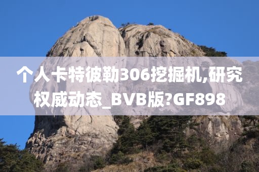 个人卡特彼勒306挖掘机,研究权威动态_BVB版?GF898