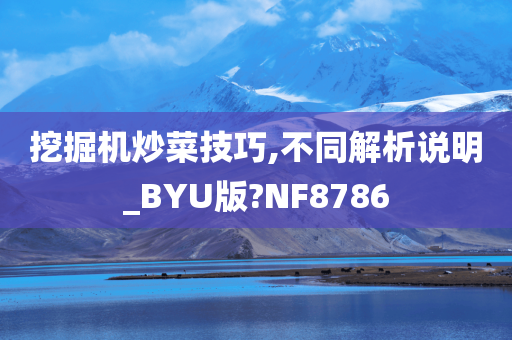 挖掘机炒菜技巧,不同解析说明_BYU版?NF8786