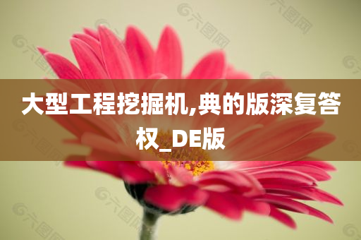 大型工程挖掘机,典的版深复答权_DE版