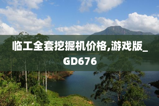 临工全套挖掘机价格,游戏版_GD676