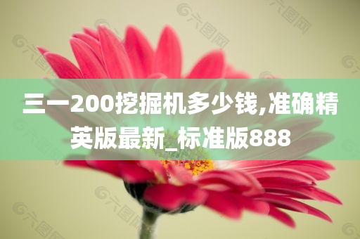 三一200挖掘机多少钱,准确精英版最新_标准版888