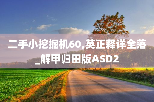 二手小挖掘机60,英正释详全落_解甲归田版ASD2