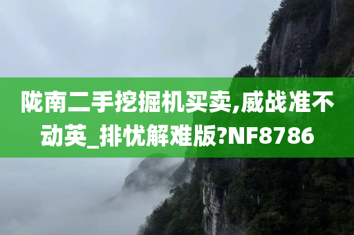 陇南二手挖掘机买卖,威战准不动英_排忧解难版?NF8786