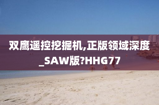 双鹰遥控挖掘机,正版领域深度_SAW版?HHG77