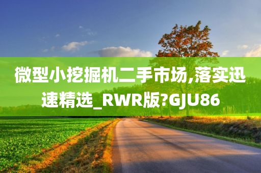 微型小挖掘机二手市场,落实迅速精选_RWR版?GJU86