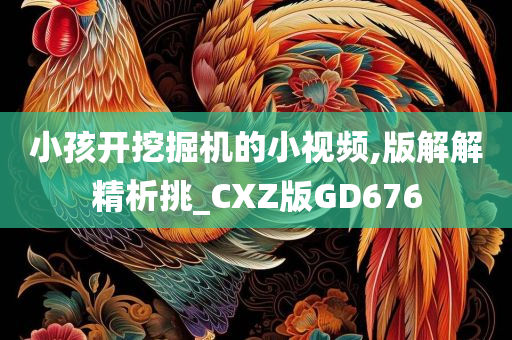 小孩开挖掘机的小视频,版解解精析挑_CXZ版GD676