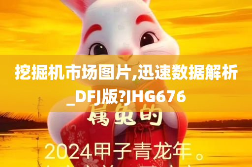 挖掘机市场图片,迅速数据解析_DFJ版?JHG676