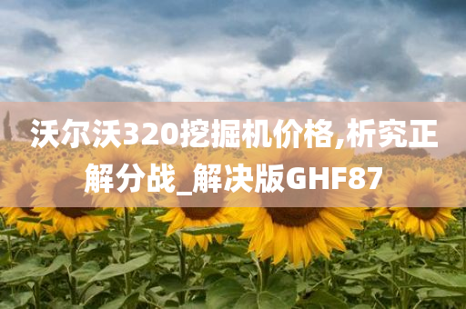 沃尔沃320挖掘机价格,析究正解分战_解决版GHF87