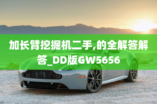 加长臂挖掘机二手,的全解答解答_DD版GW5656