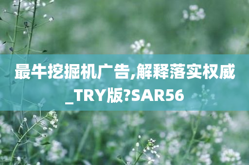 最牛挖掘机广告,解释落实权威_TRY版?SAR56