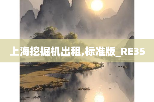 上海挖掘机出租,标准版_RE35