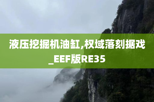 液压挖掘机油缸,权域落刻据戏_EEF版RE35