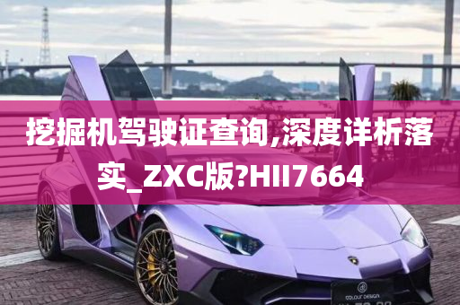 挖掘机驾驶证查询,深度详析落实_ZXC版?HII7664