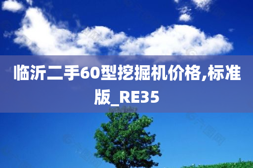 临沂二手60型挖掘机价格,标准版_RE35