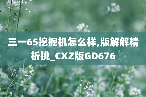 三一65挖掘机怎么样,版解解精析挑_CXZ版GD676