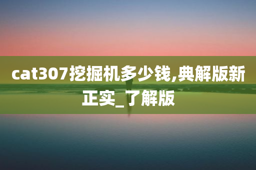 cat307挖掘机多少钱,典解版新正实_了解版