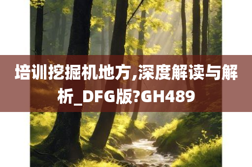 培训挖掘机地方,深度解读与解析_DFG版?GH489