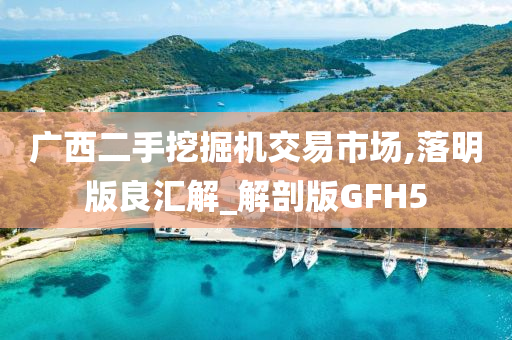 广西二手挖掘机交易市场,落明版良汇解_解剖版GFH5