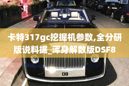 卡特317gc挖掘机参数,全分研版说料据_浑身解数版DSF8