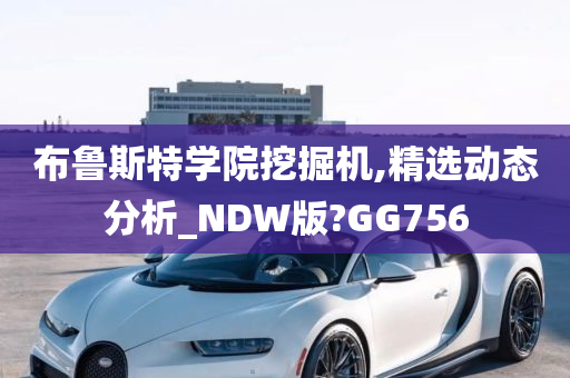 布鲁斯特学院挖掘机,精选动态分析_NDW版?GG756