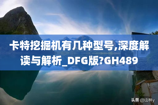 卡特挖掘机有几种型号,深度解读与解析_DFG版?GH489