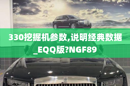 330挖掘机参数,说明经典数据_EQQ版?NGF89