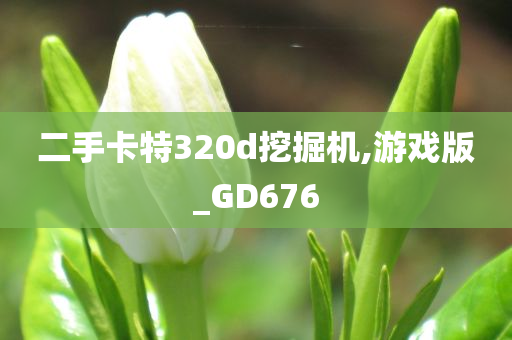 二手卡特320d挖掘机,游戏版_GD676