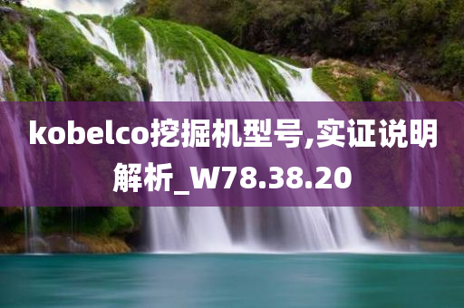 kobelco挖掘机型号,实证说明解析_W78.38.20