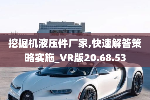 挖掘机液压件厂家,快速解答策略实施_VR版20.68.53