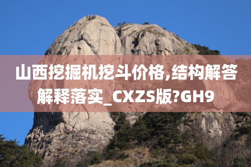 山西挖掘机挖斗价格,结构解答解释落实_CXZS版?GH9