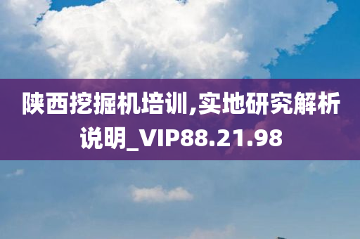 陕西挖掘机培训,实地研究解析说明_VIP88.21.98