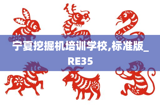 宁夏挖掘机培训学校,标准版_RE35