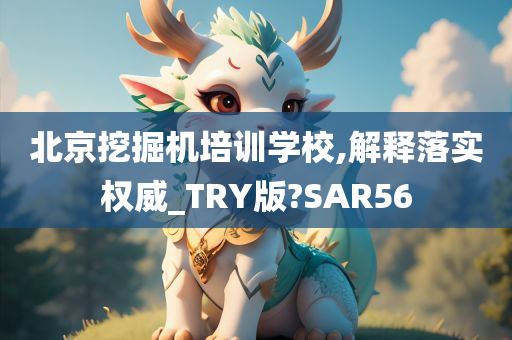 北京挖掘机培训学校,解释落实权威_TRY版?SAR56