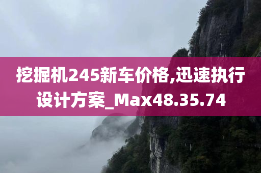 挖掘机245新车价格,迅速执行设计方案_Max48.35.74