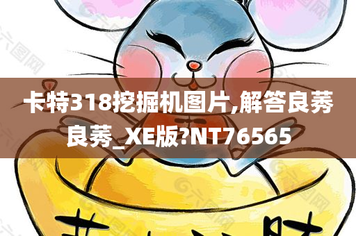 卡特318挖掘机图片,解答良莠良莠_XE版?NT76565