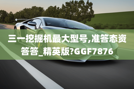 三一挖掘机最大型号,准答态资答答_精英版?GGF7876