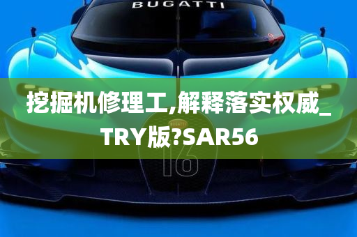 挖掘机修理工,解释落实权威_TRY版?SAR56