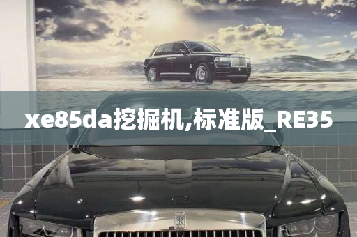 xe85da挖掘机,标准版_RE35