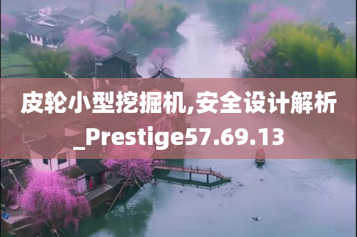 皮轮小型挖掘机,安全设计解析_Prestige57.69.13