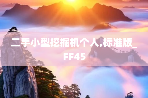 二手小型挖掘机个人,标准版_FF45