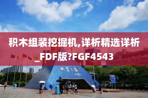 积木组装挖掘机,详析精选详析_FDF版?FGF4543